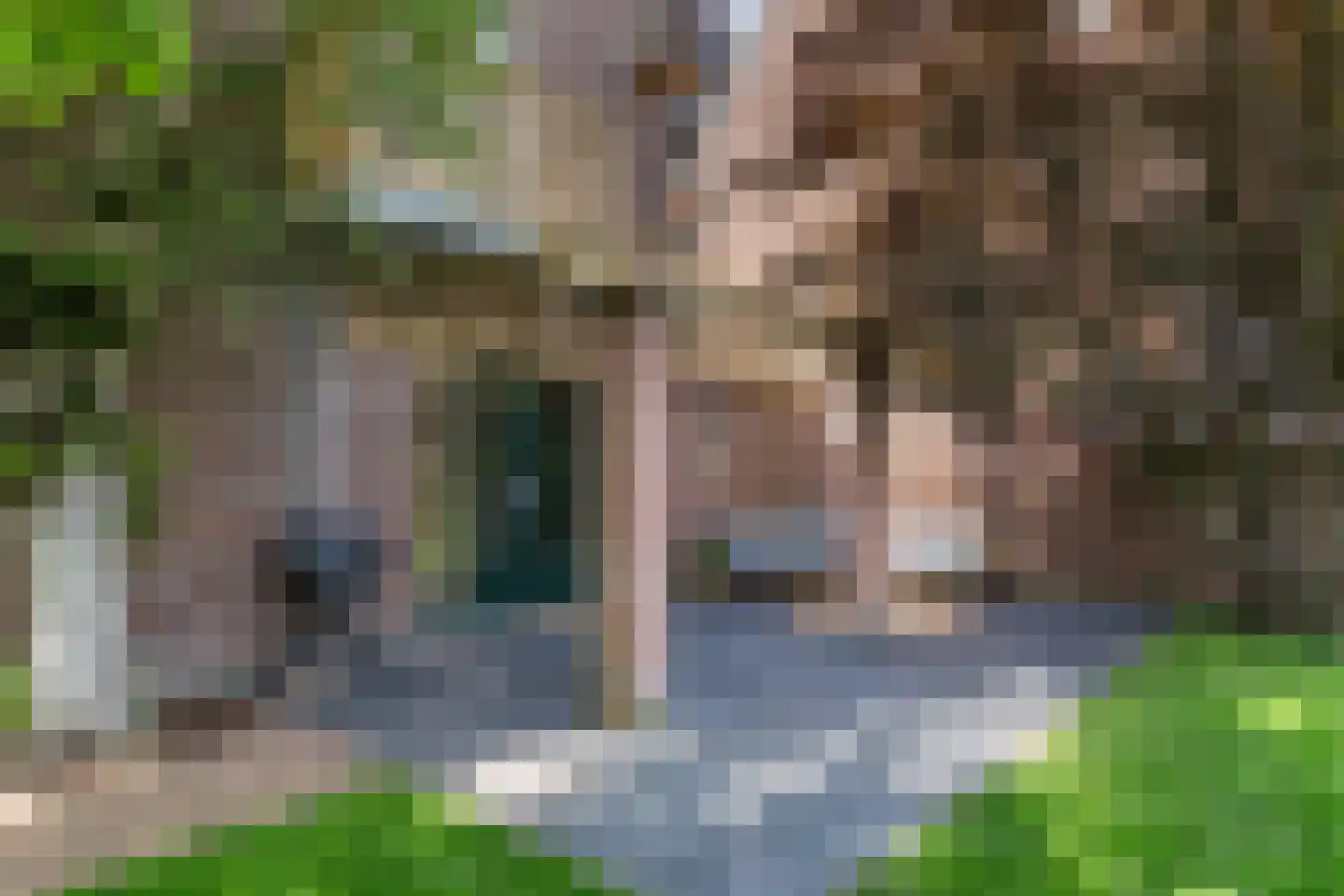Weipad 3 Rotterdam thumbnail 24