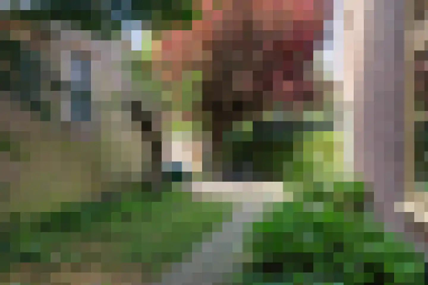 Weipad 3 Rotterdam thumbnail 26
