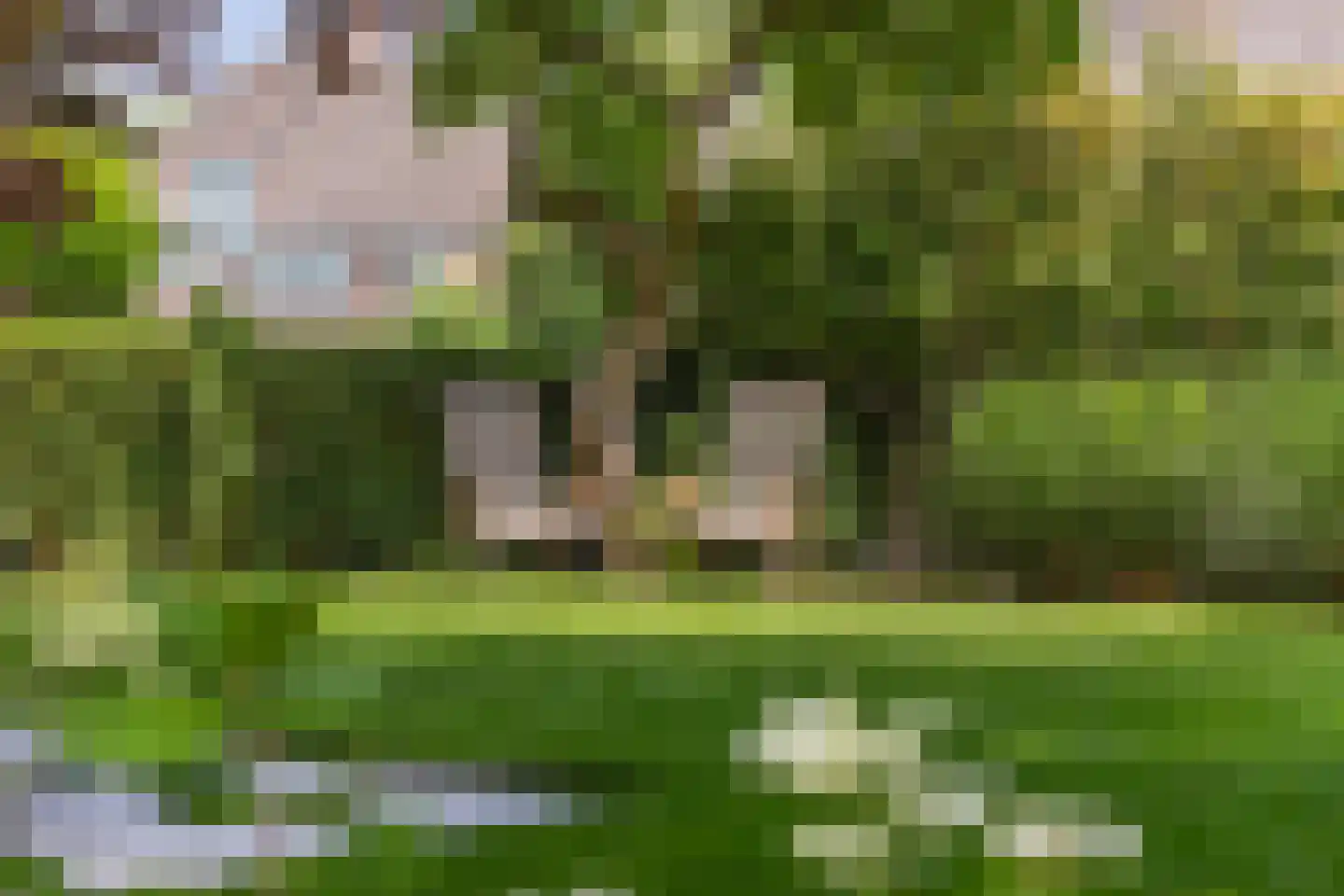 Weipad 3 Rotterdam thumbnail 27