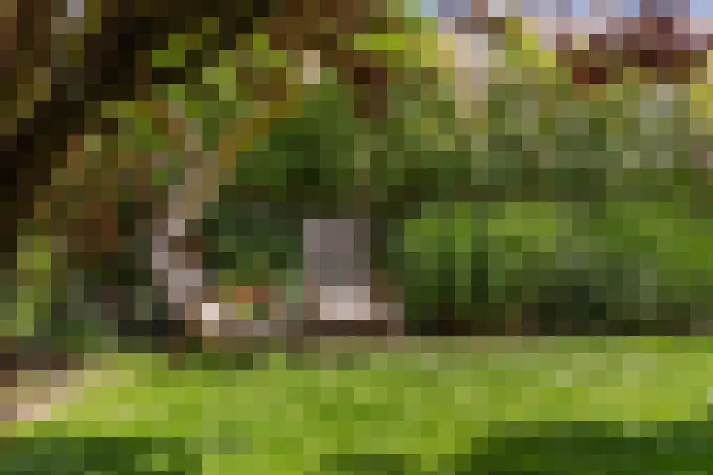 Weipad 3 Rotterdam thumbnail 28