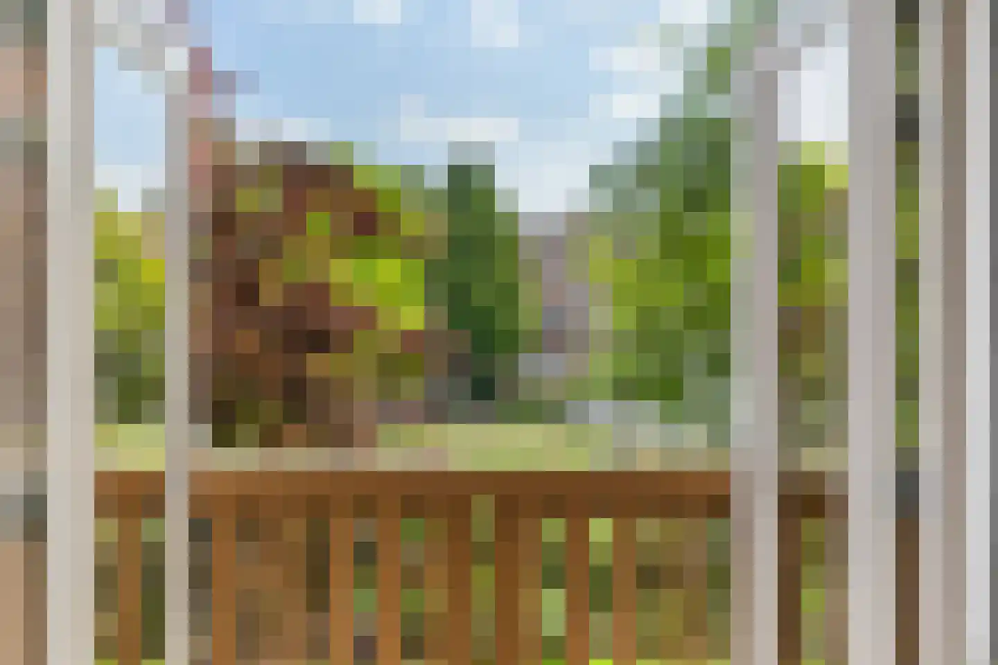 Weipad 3 Rotterdam thumbnail 35