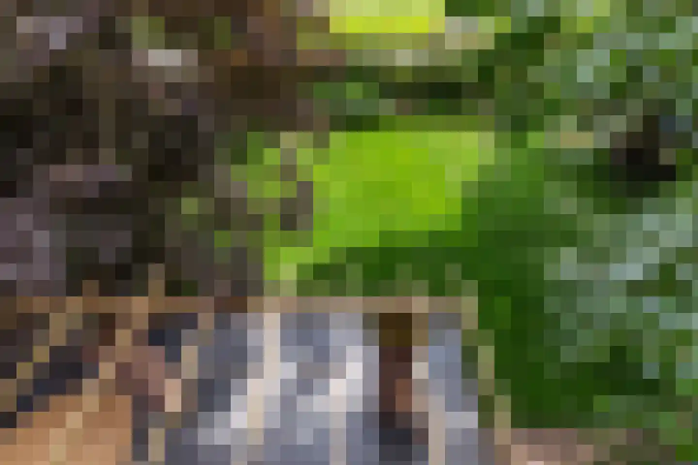 Weipad 3 Rotterdam thumbnail 36
