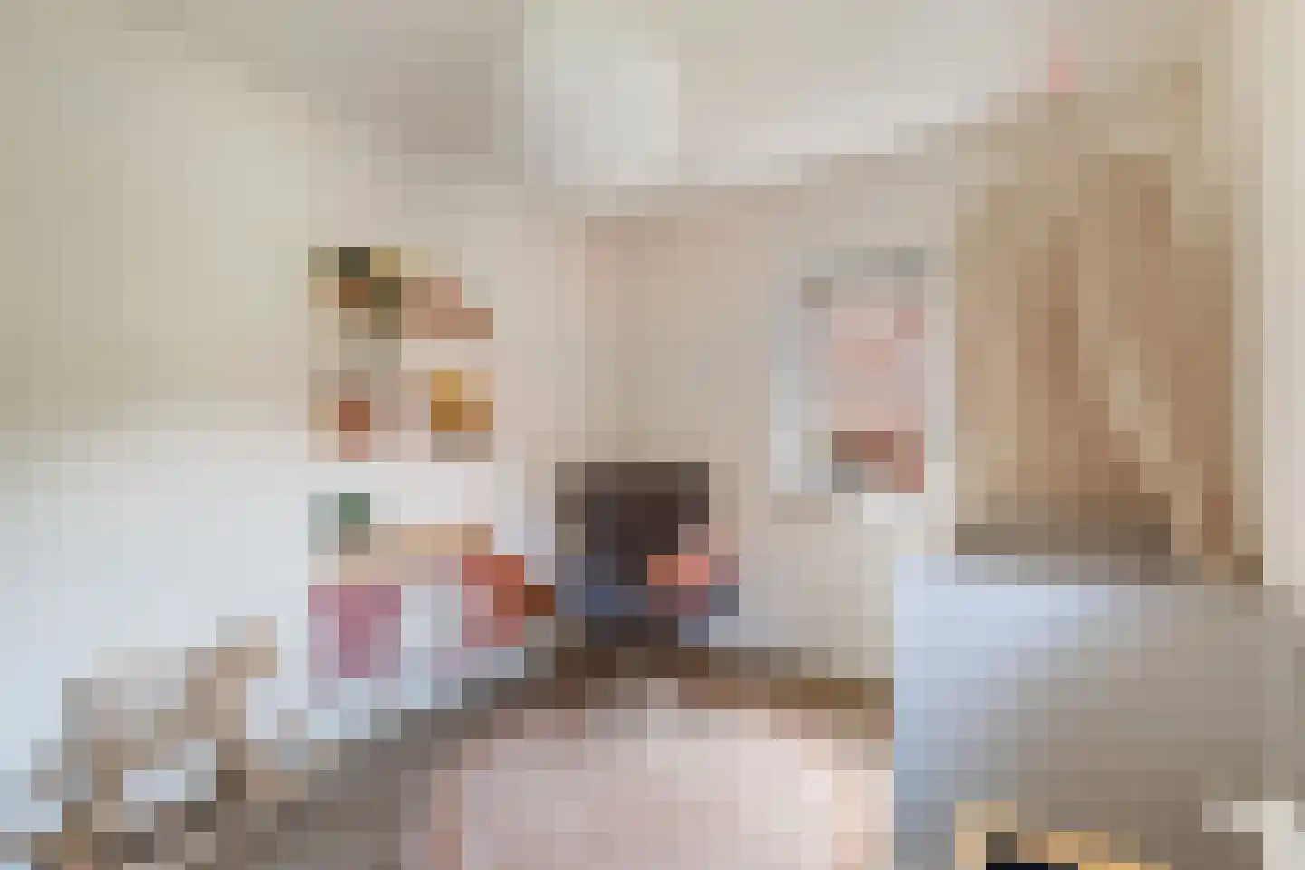 Weipad 3 Rotterdam thumbnail 39