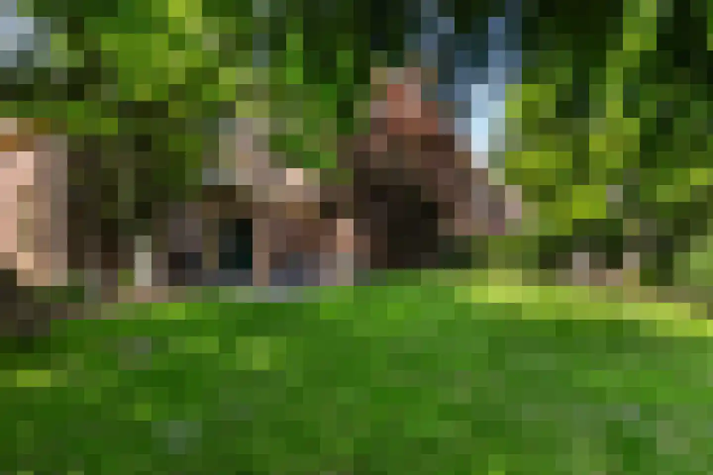 Weipad 3 Rotterdam thumbnail 5