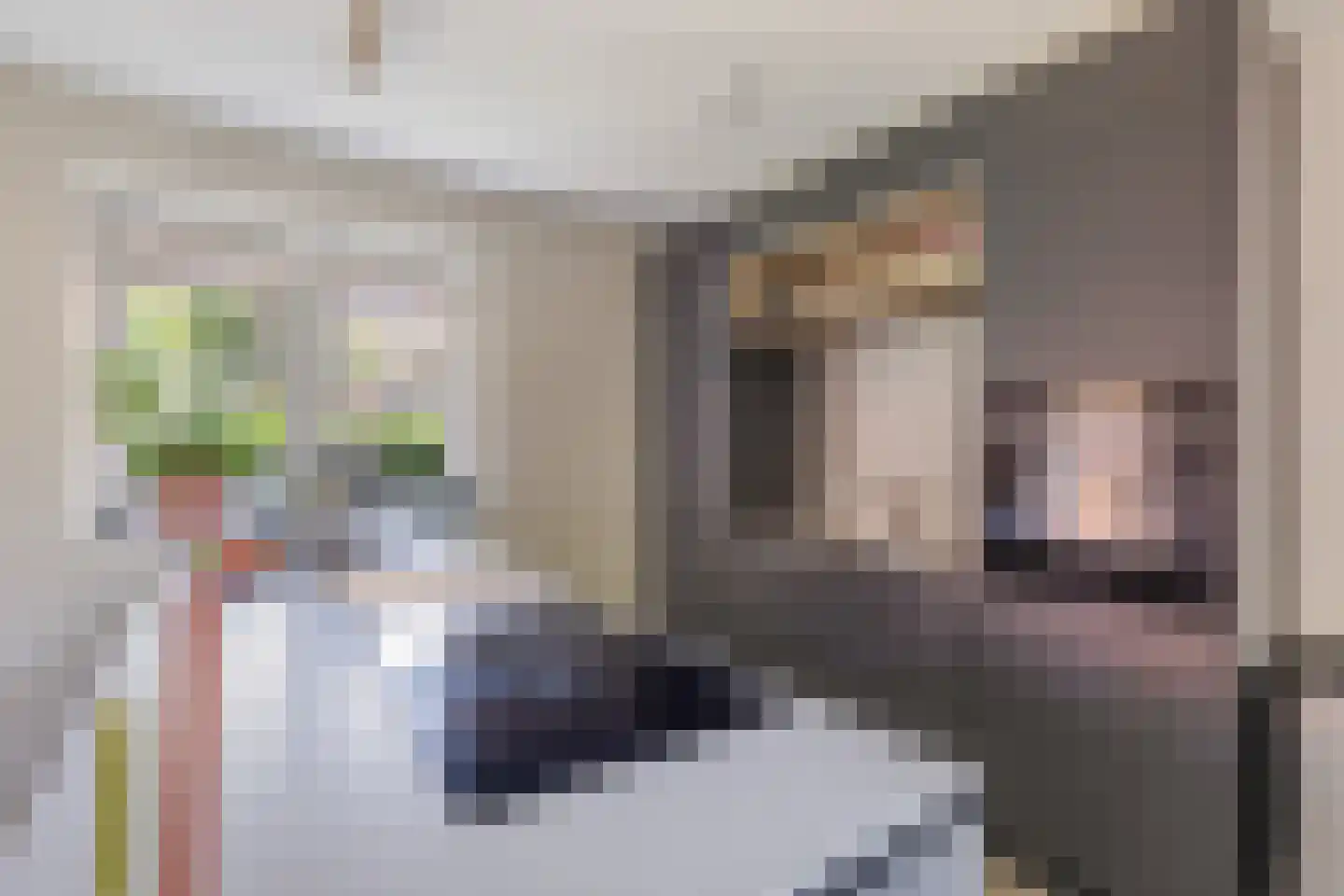 Weipad 3 Rotterdam thumbnail 6