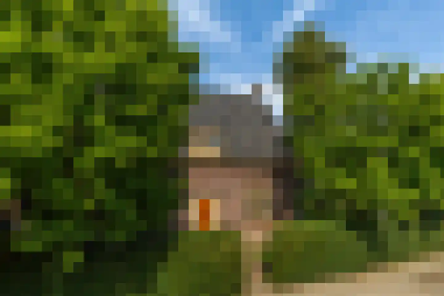 Weipad 3 Rotterdam thumbnail 60