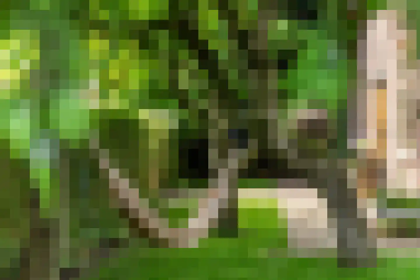 Weipad 3 Rotterdam thumbnail 62