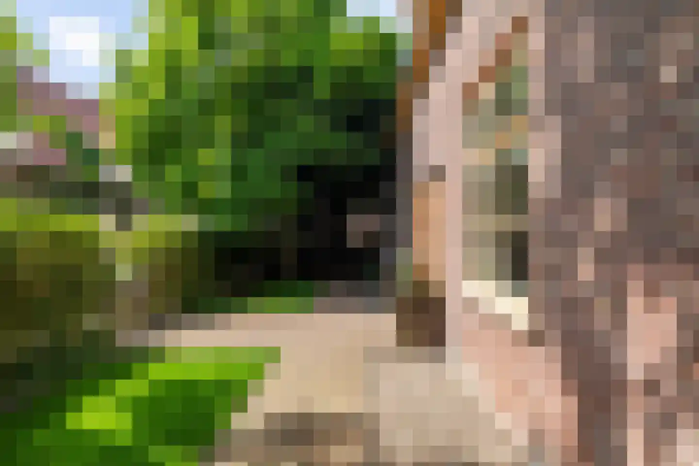 Weipad 3 Rotterdam thumbnail 64