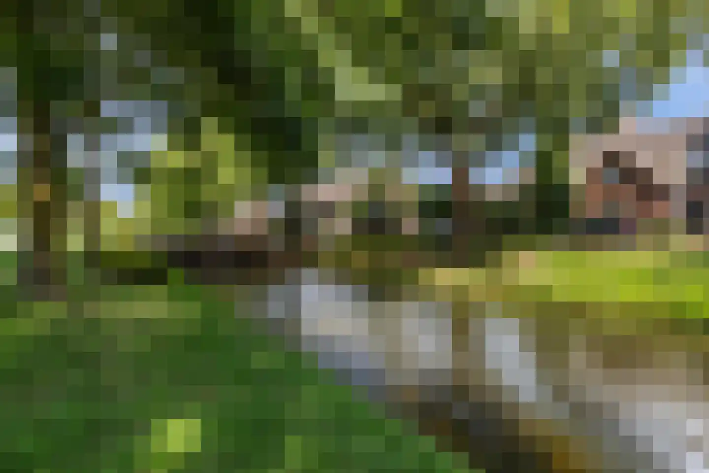 Weipad 3 Rotterdam thumbnail 66