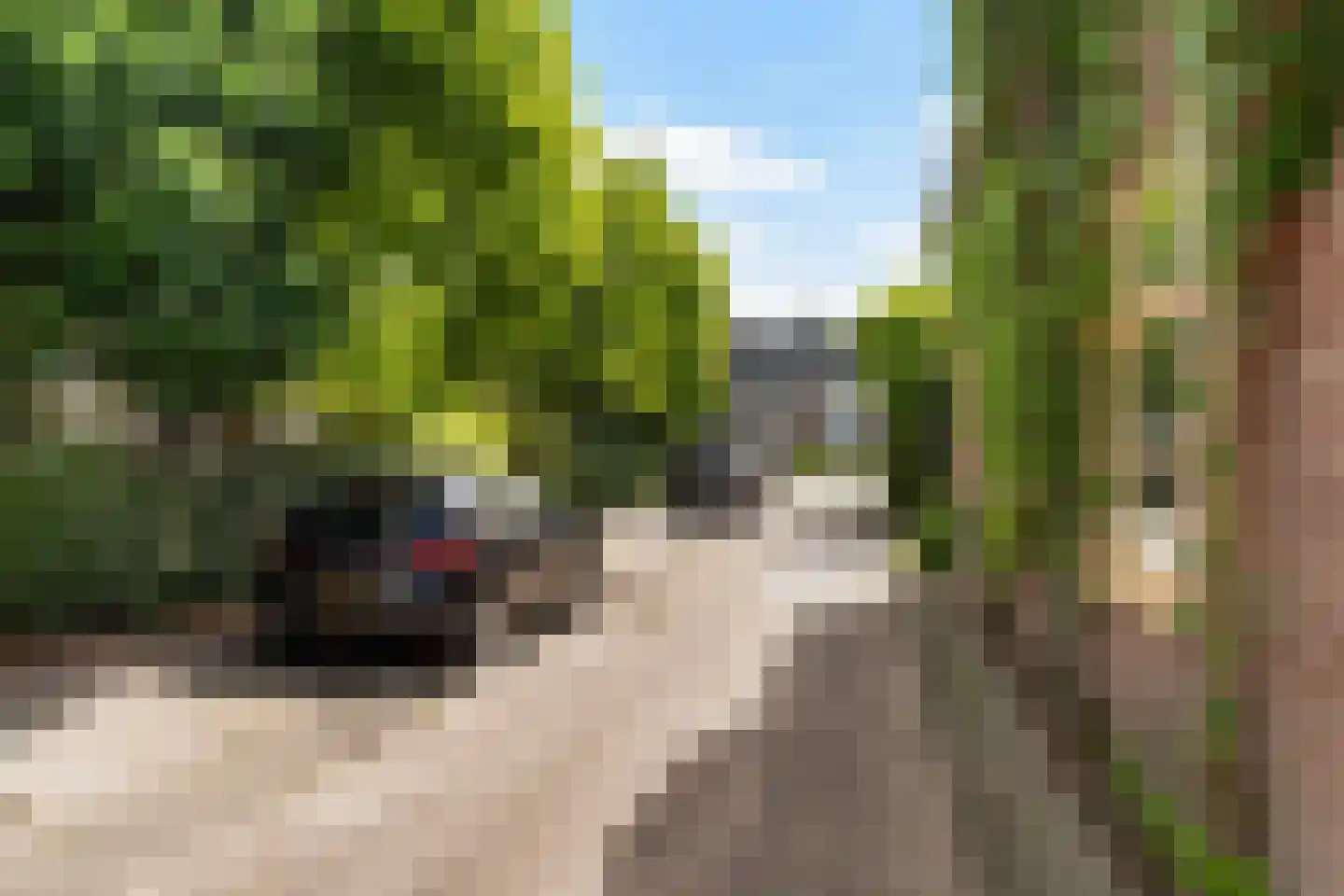 Weipad 3 Rotterdam thumbnail 67