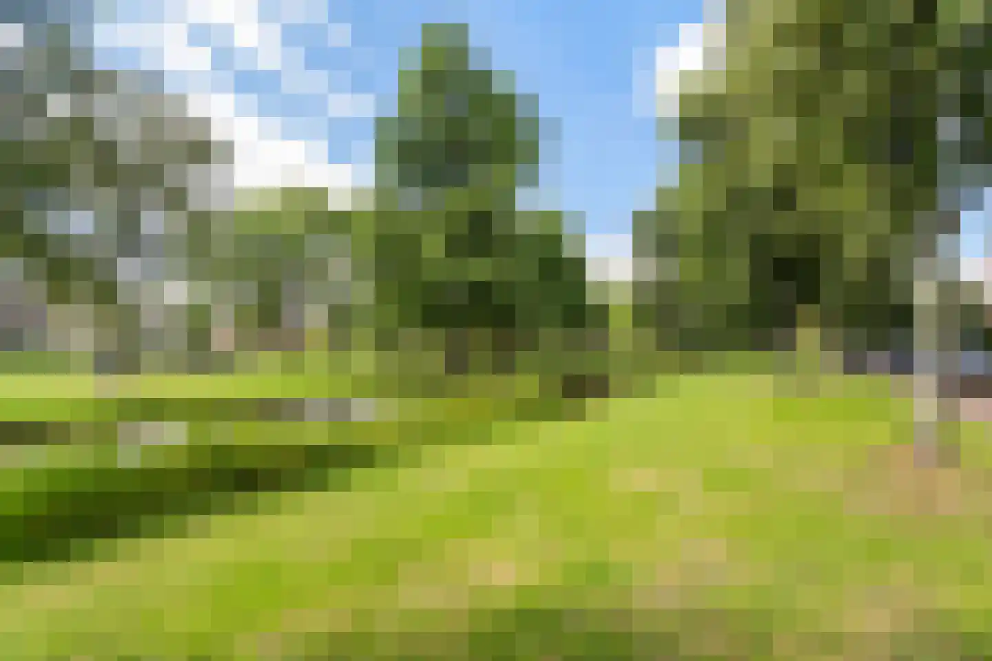 Weipad 3 Rotterdam thumbnail 72