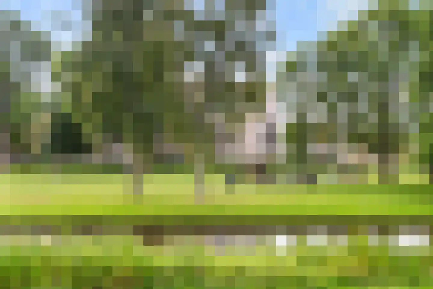 Weipad 3 Rotterdam thumbnail 73