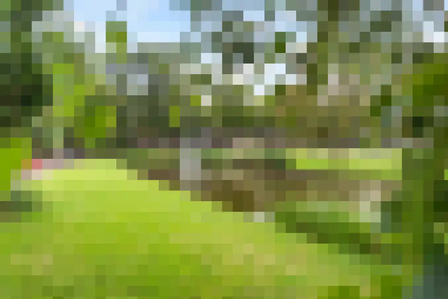 Weipad 3 Rotterdam thumbnail 74