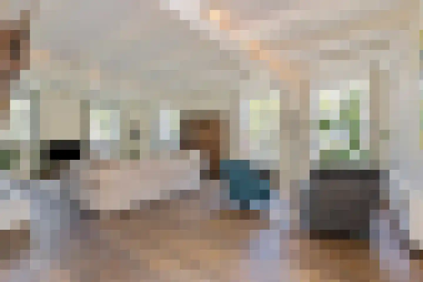 Weipoortseweg 3 Zoeterwoude thumbnail 14