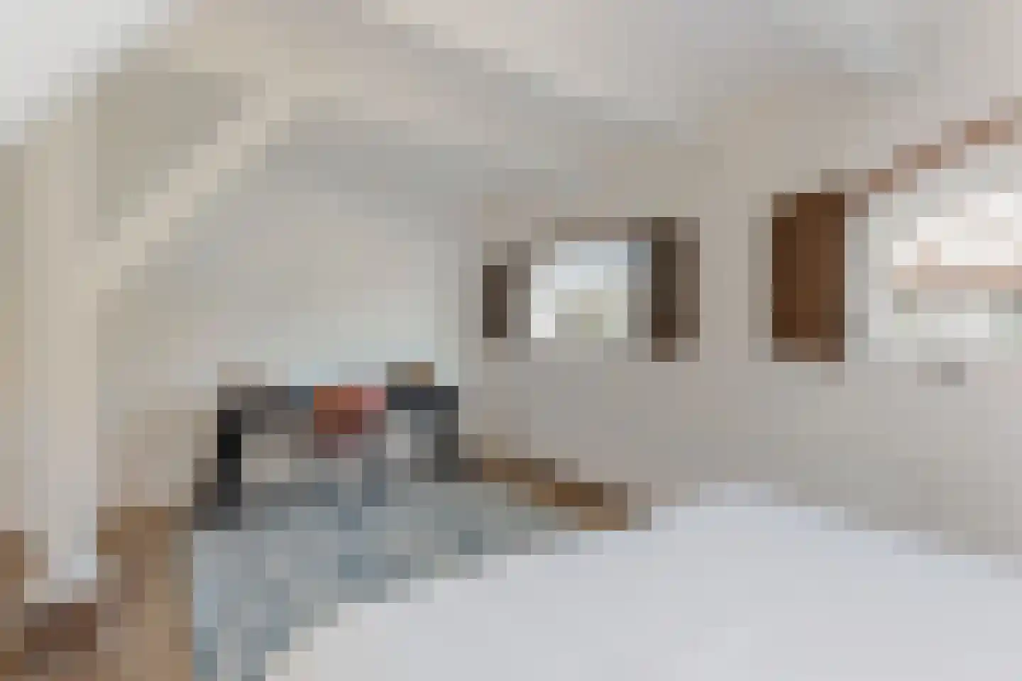 Weipoortseweg 3 Zoeterwoude thumbnail 30