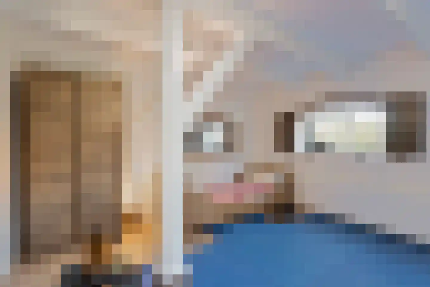 Weipoortseweg 3 Zoeterwoude thumbnail 33