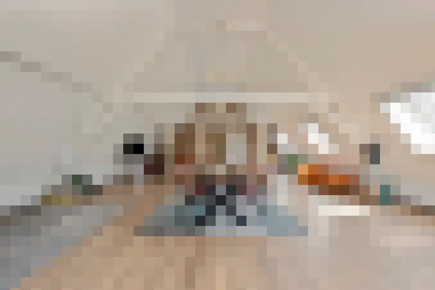 Weipoortseweg 3 Zoeterwoude thumbnail 37