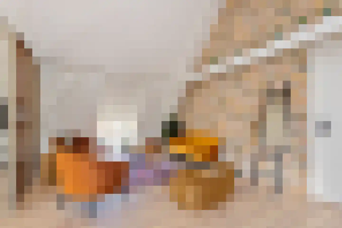 Weipoortseweg 3 Zoeterwoude thumbnail 39