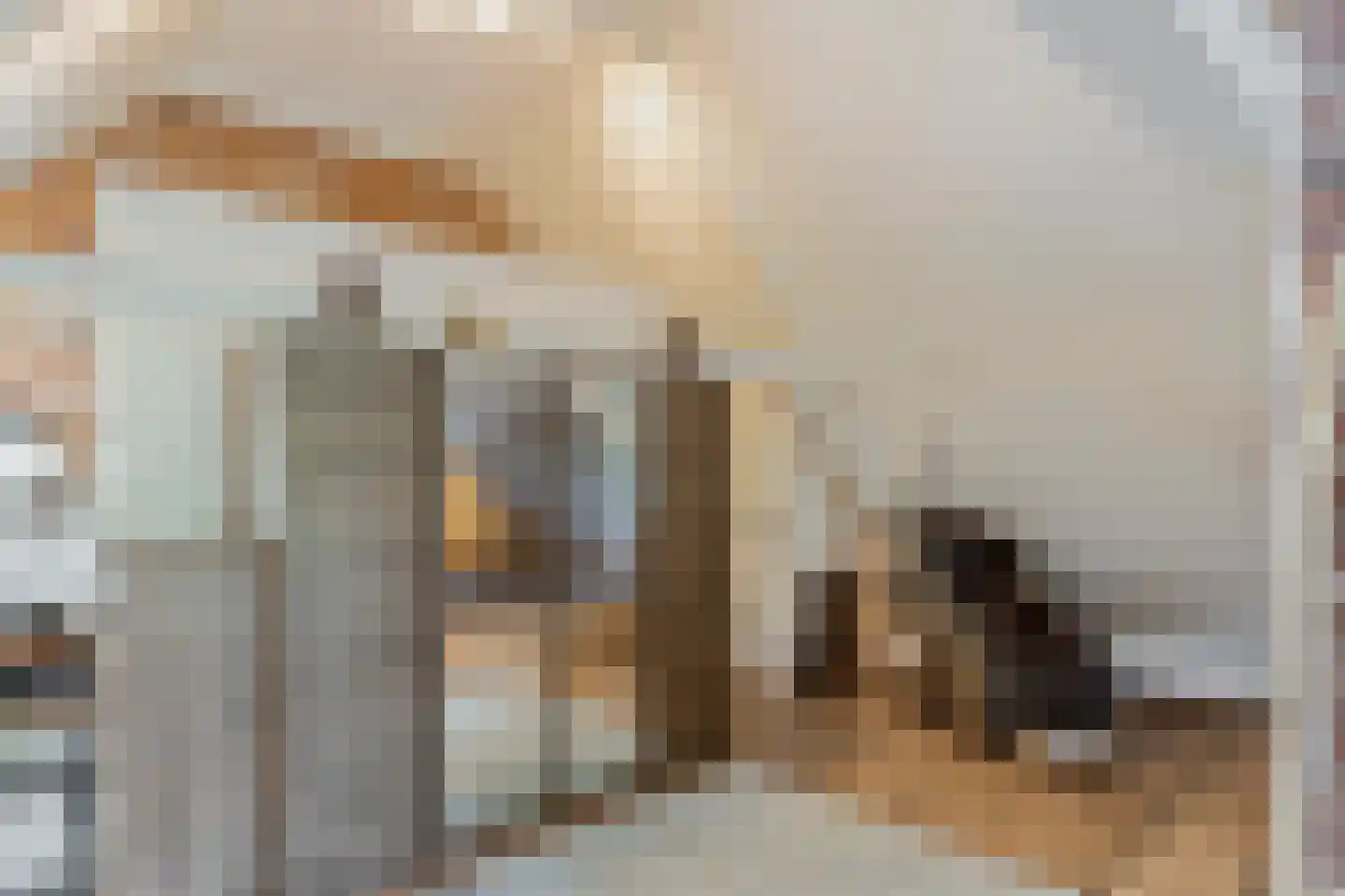 Weipoortseweg 3 Zoeterwoude thumbnail 44
