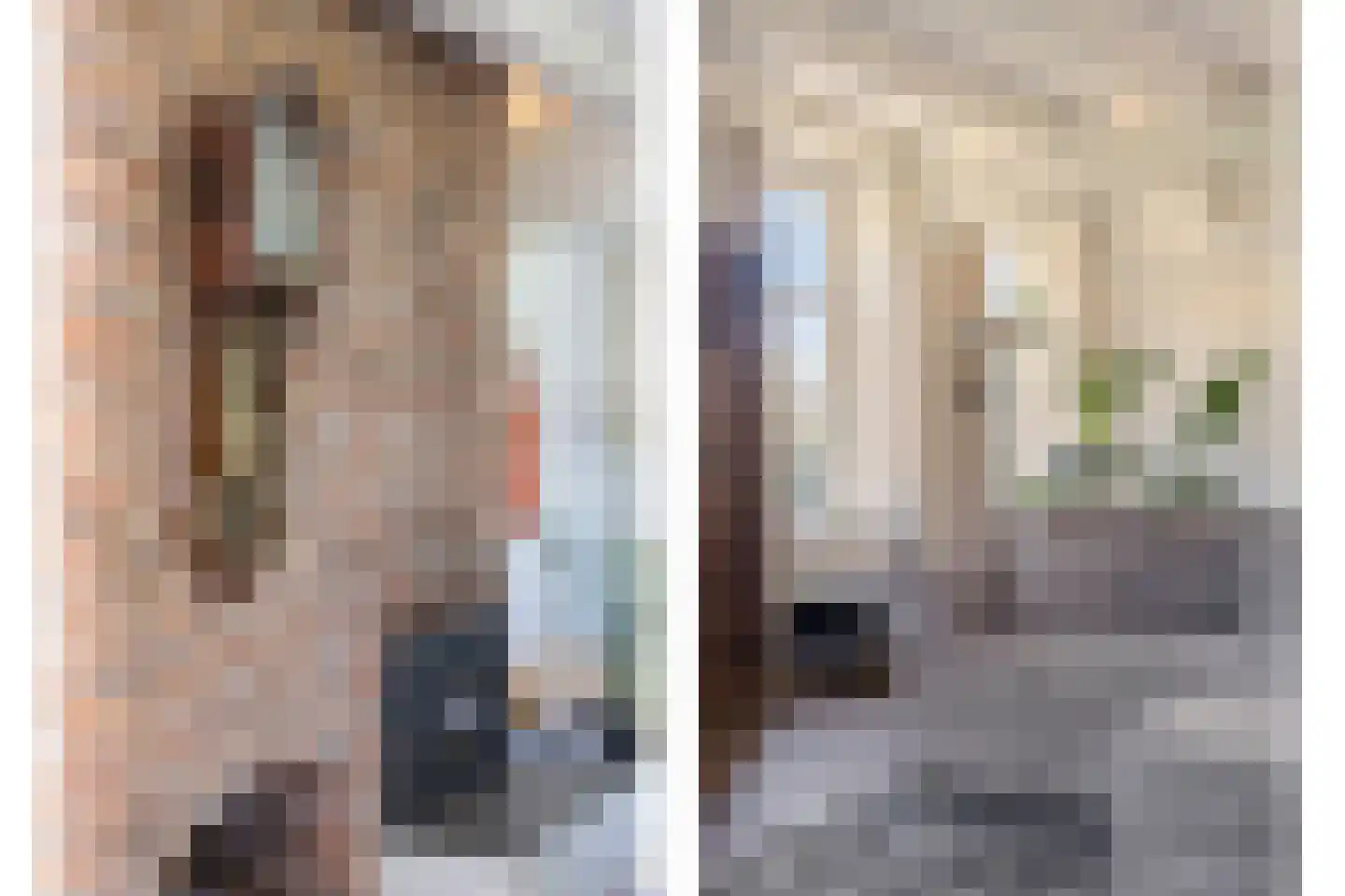 Weipoortseweg 3 Zoeterwoude thumbnail 5