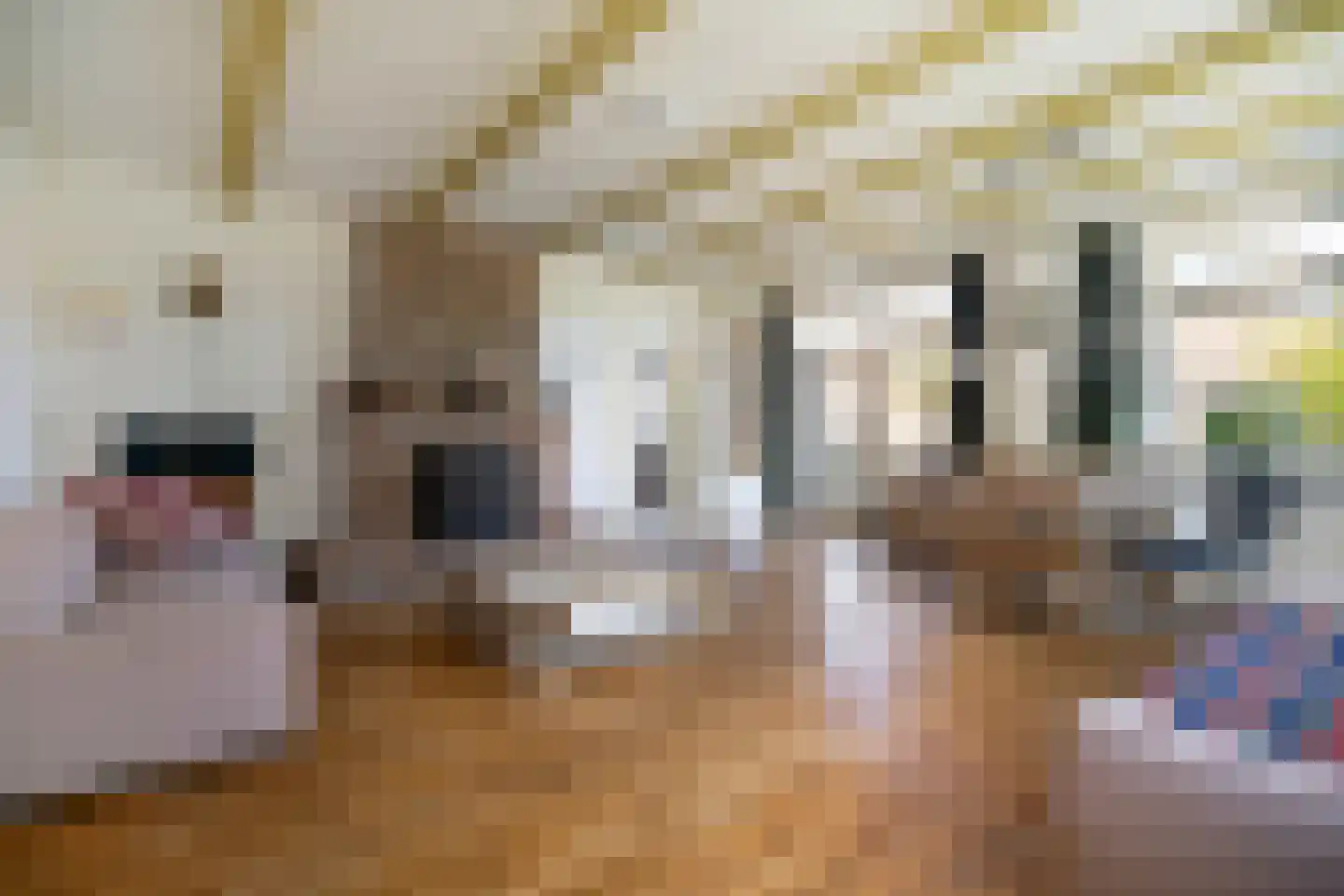 Weipoortseweg 30 Zoeterwoude thumbnail 11
