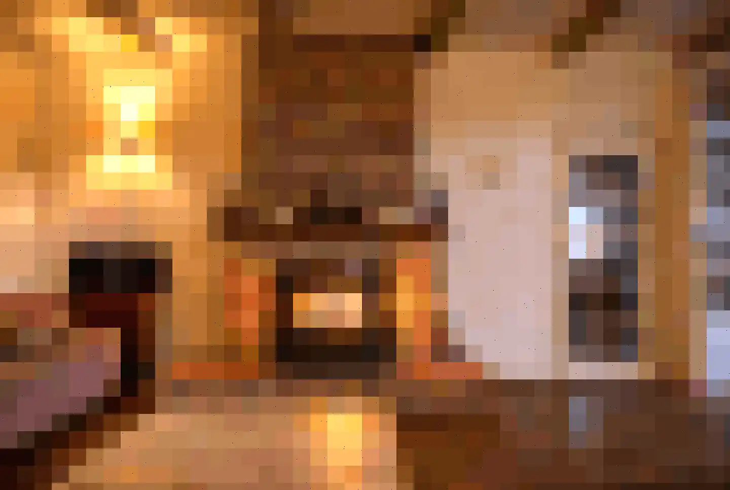 Weipoortseweg 30 Zoeterwoude thumbnail 12