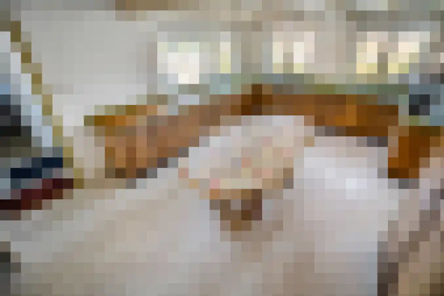 Weipoortseweg 30 Zoeterwoude thumbnail 17