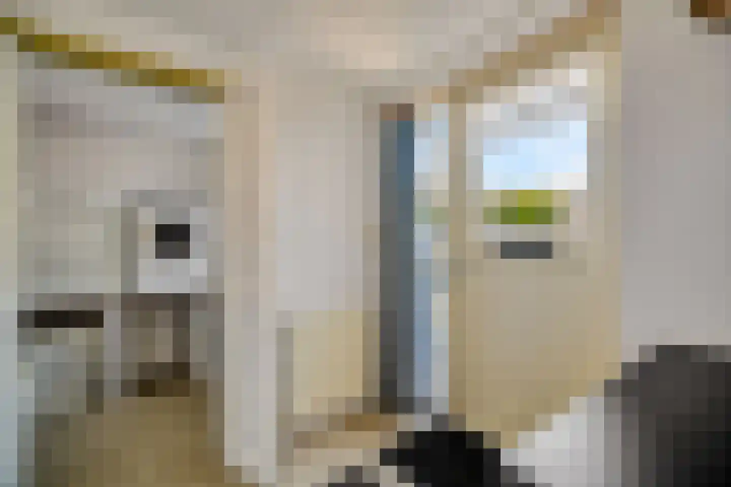 Weipoortseweg 30 Zoeterwoude thumbnail 19