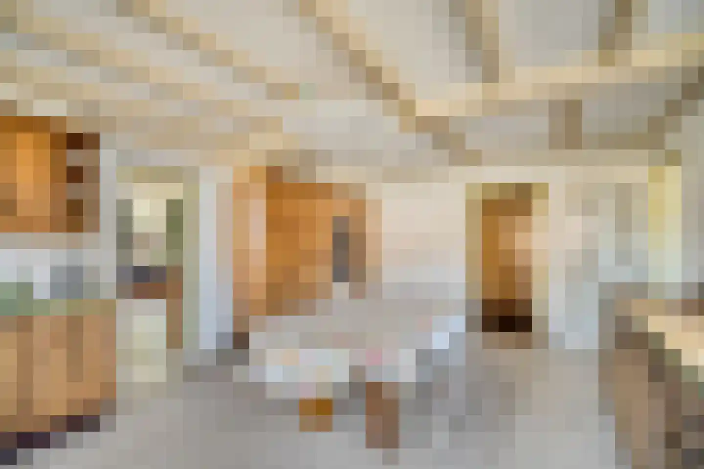 Weipoortseweg 30 Zoeterwoude thumbnail 25