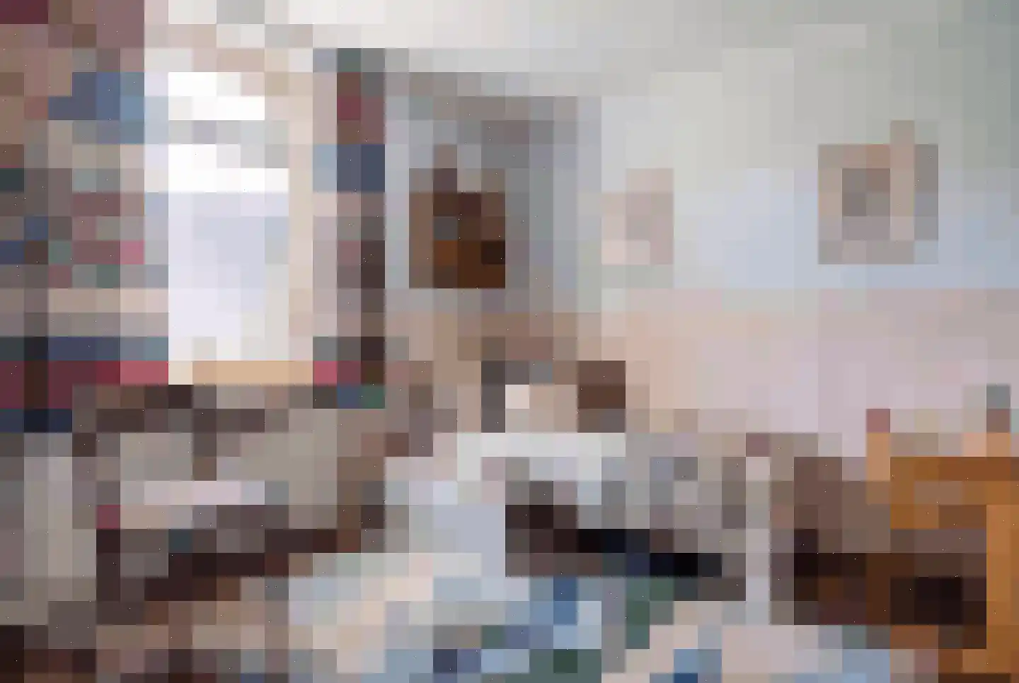 Weipoortseweg 30 Zoeterwoude thumbnail 30