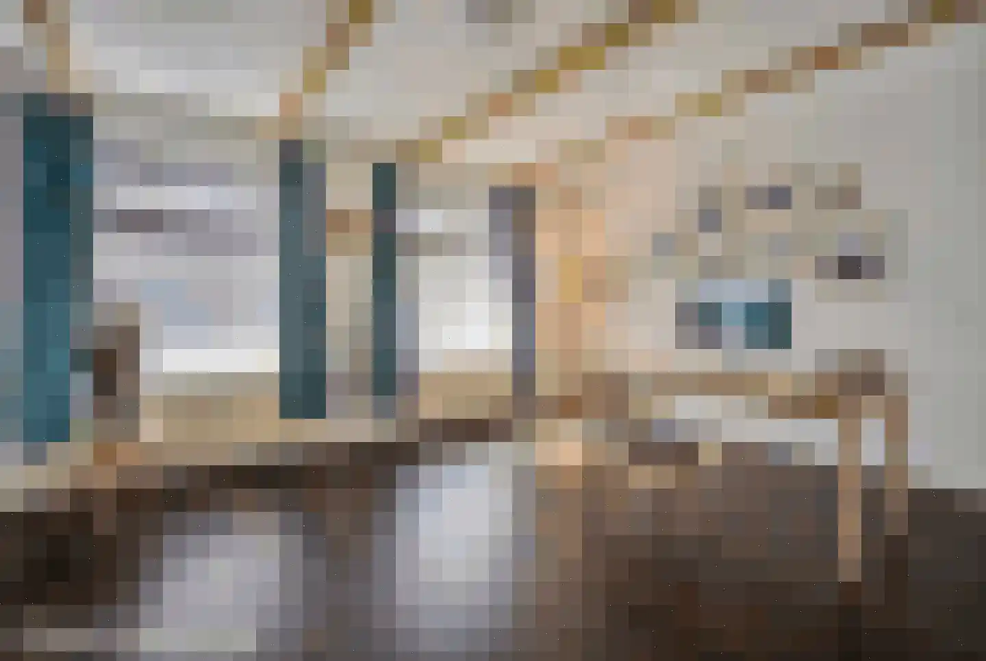 Weipoortseweg 30 Zoeterwoude thumbnail 32