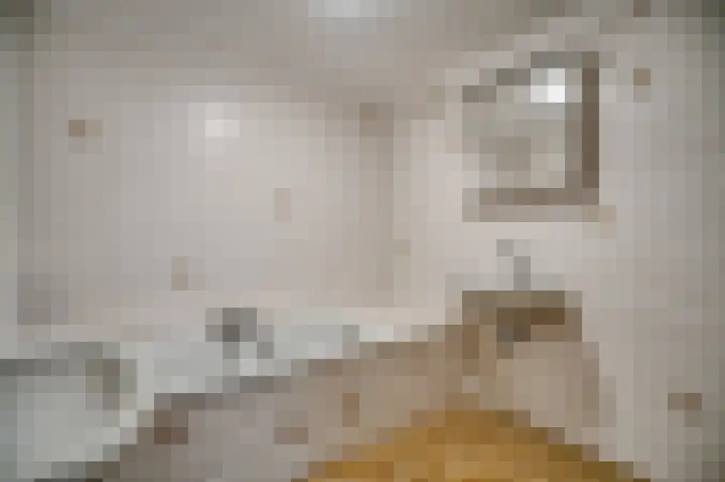 Weipoortseweg 30 Zoeterwoude thumbnail 36