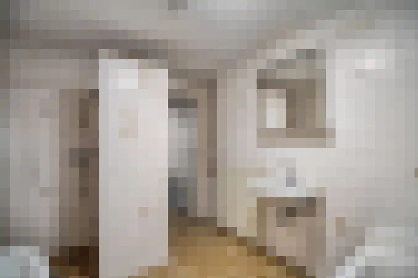 Weipoortseweg 30 Zoeterwoude thumbnail 38