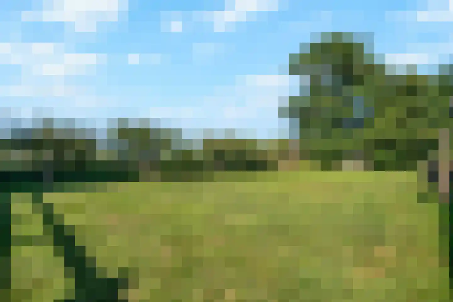 Weipoortseweg 30 Zoeterwoude thumbnail 63
