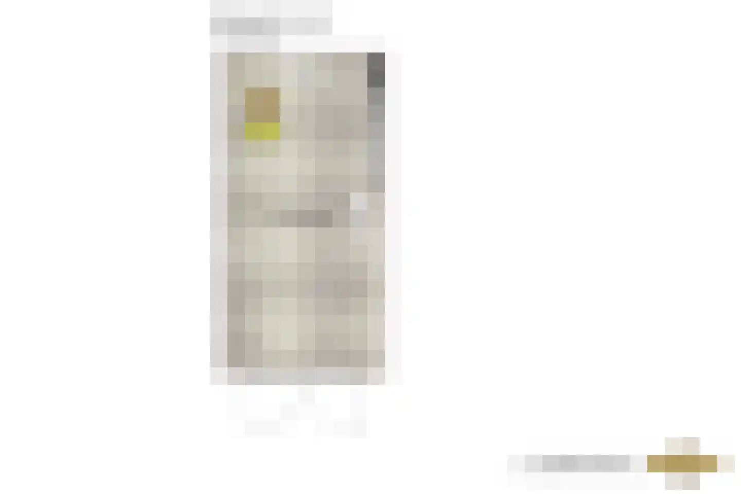 Weipoortseweg 30 Zoeterwoude thumbnail 73