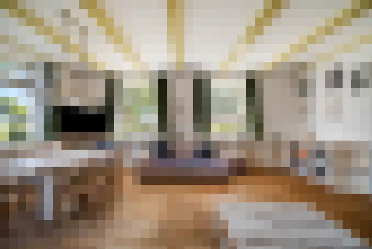 Weipoortseweg 30 Zoeterwoude thumbnail 8