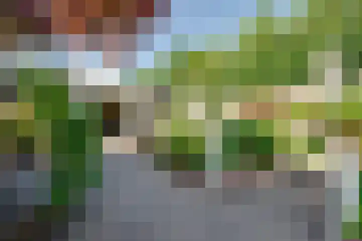 Weipoortseweg 45 Zoeterwoude thumbnail 24