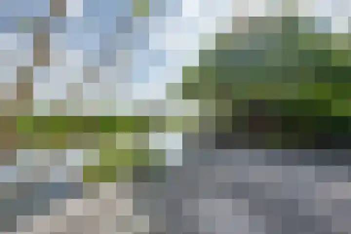 Weipoortseweg 45 Zoeterwoude thumbnail 28