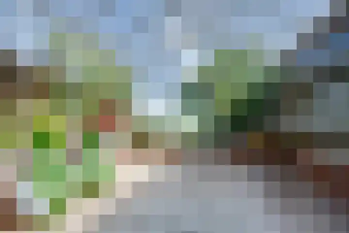 Weipoortseweg 45 Zoeterwoude thumbnail 30