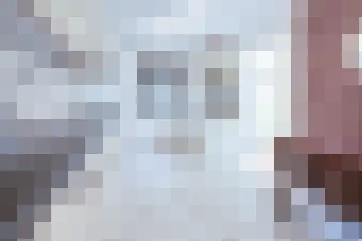 Weipoortseweg 45 Zoeterwoude thumbnail 7