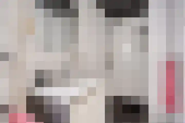 Weirstraat 3 Someren thumbnail 22