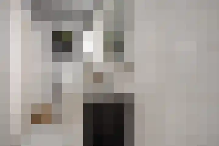 Weirstraat 3 Someren thumbnail 23