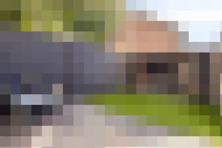 Weirstraat 3 Someren thumbnail 28