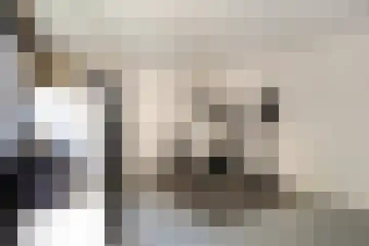 Weirstraat 3 Someren thumbnail 33