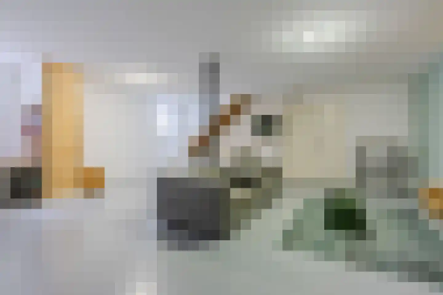Weisestraat 14 Lithoijen thumbnail 36