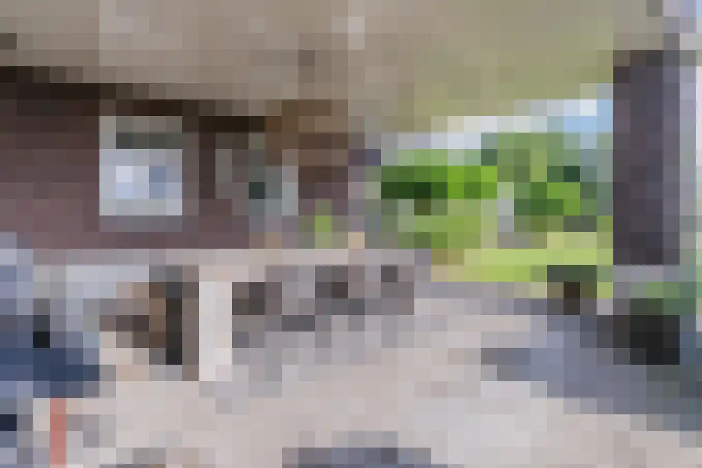 Weisestraat 14 Lithoijen thumbnail 44