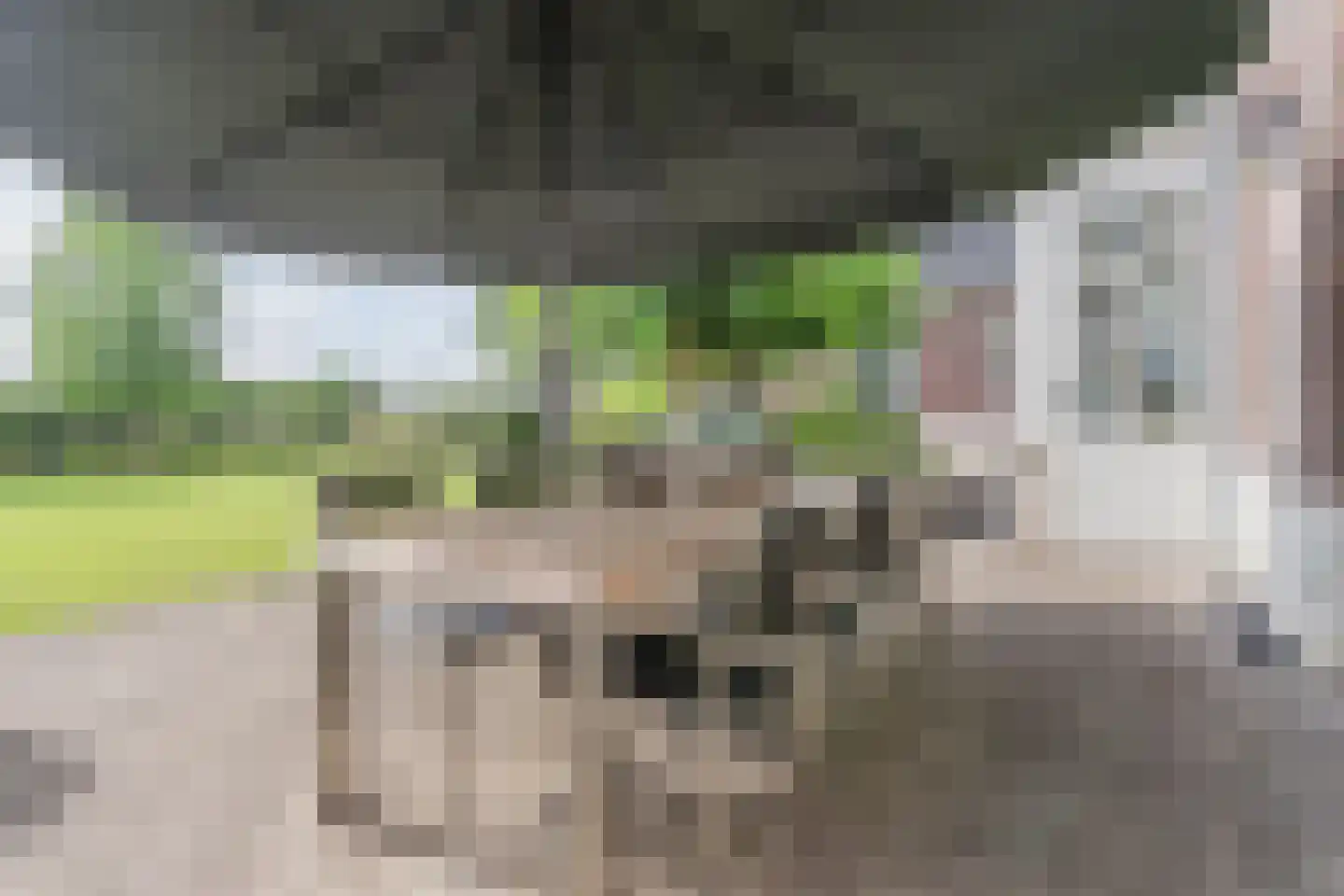 Weisestraat 14 Lithoijen thumbnail 55