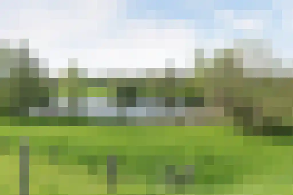 Weisestraat 14 Lithoijen thumbnail 63