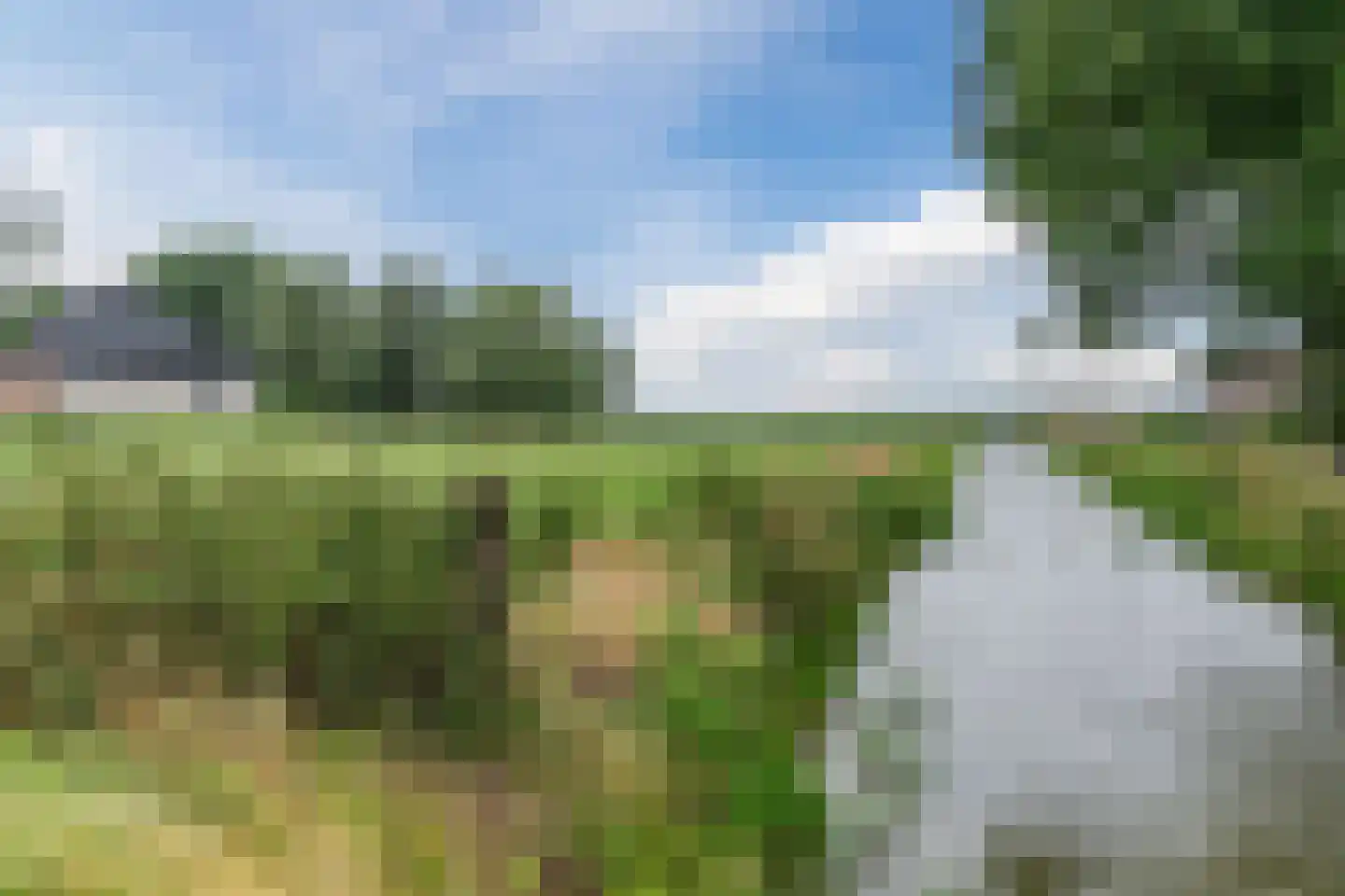 Weisestraat 14 Lithoijen thumbnail 65