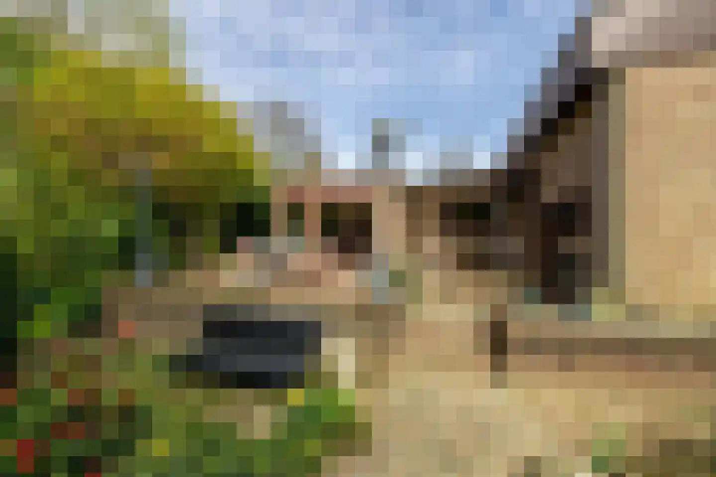 Weislag 12 's-Hertogenbosch thumbnail 24